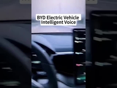 Wie klug sind chinesische Elektroautos?