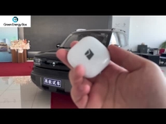 Chinesische Elektroautos