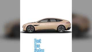 BYD-Elektrolimousine: Schnelles, umweltfreundliches Pendeln