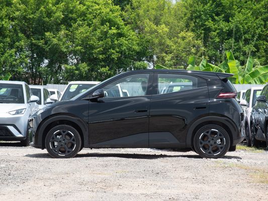2025 BYD Seagull, EV Reichweite 305KM-405KM, verbesserte Konfiguration, niedrigerer Preis!