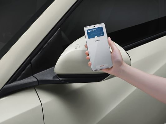 2025 BYD Seagull, verbessertes intelligentes Fahren, verbesserte Sicherheitskonfiguration.