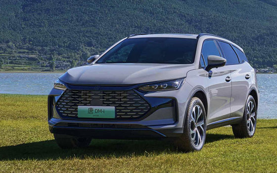 215 km elektrische Reichweite chinesischer SUV mit 21,504 kWh Blade Batterie